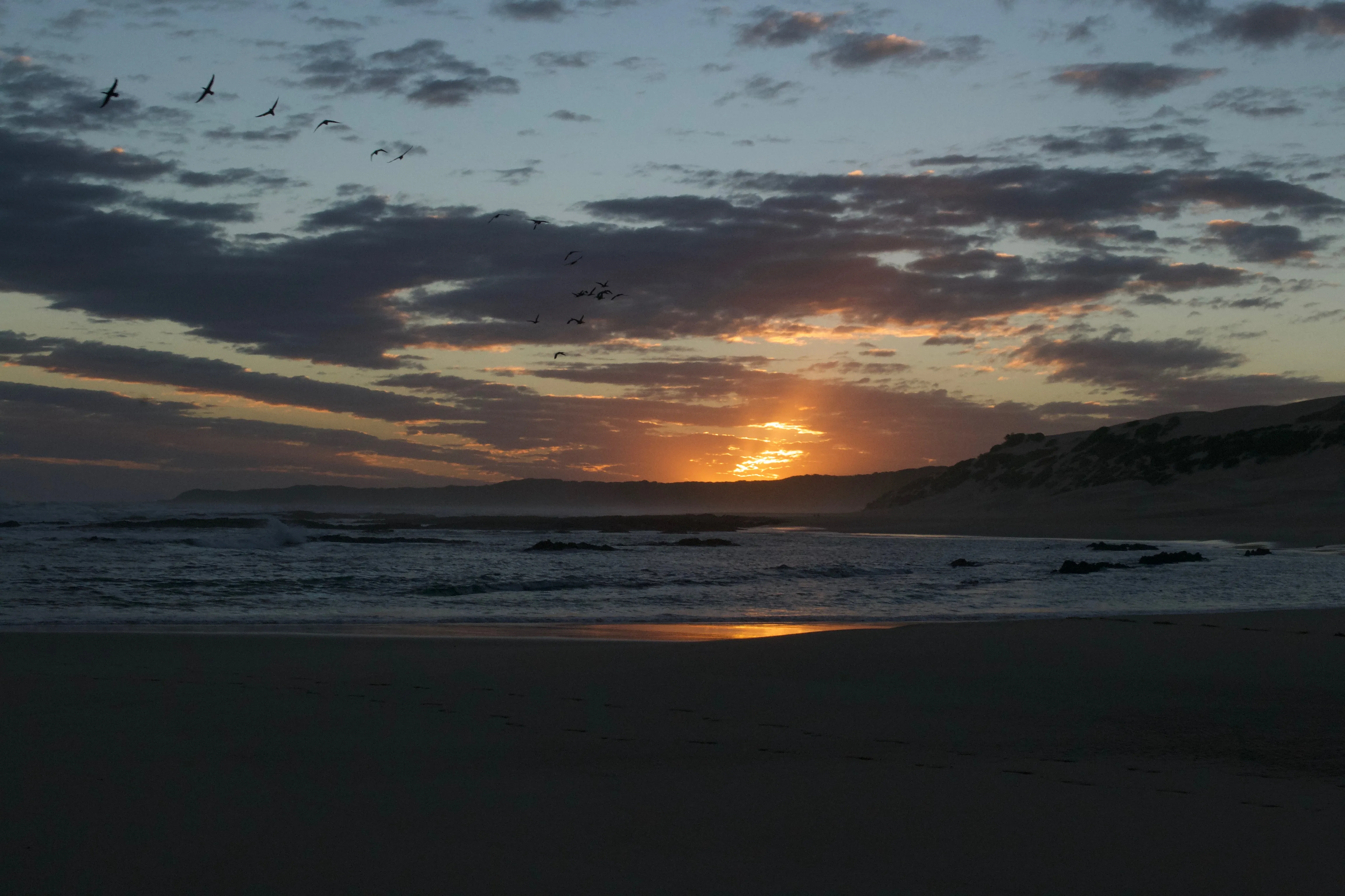 South Africa Suns