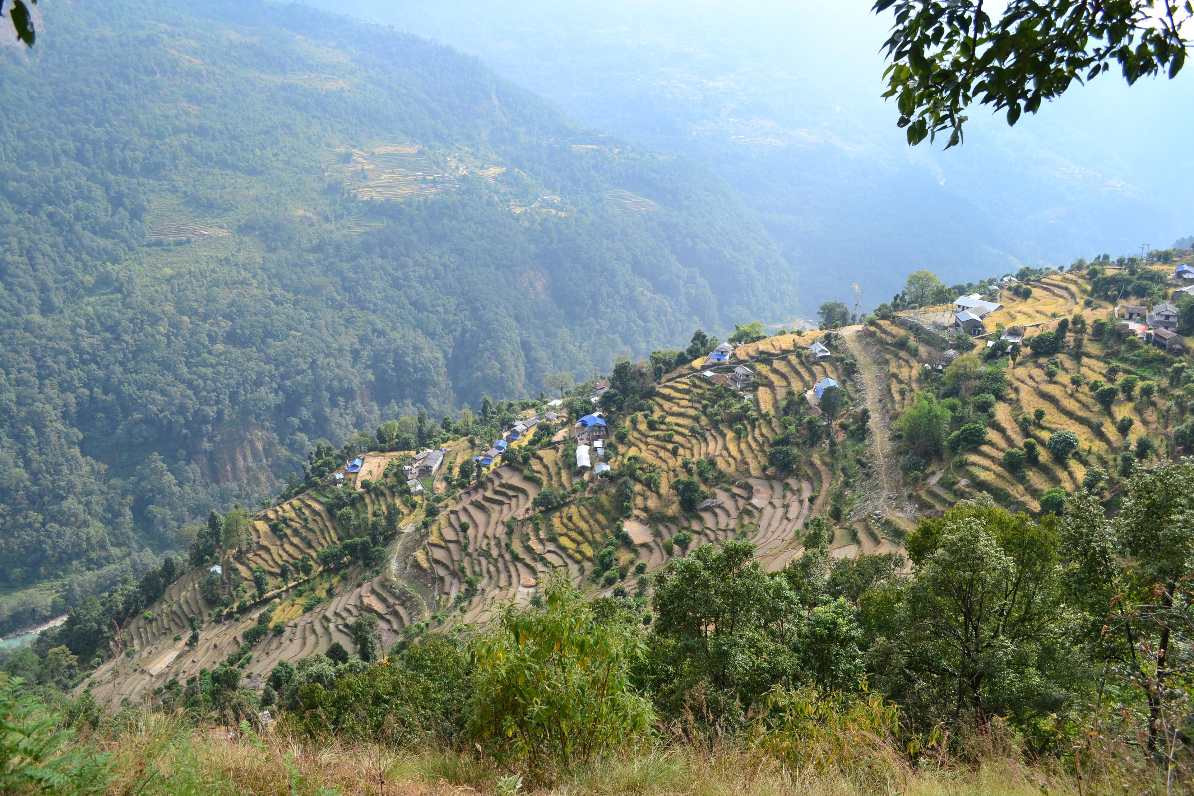 Nepal Terraces