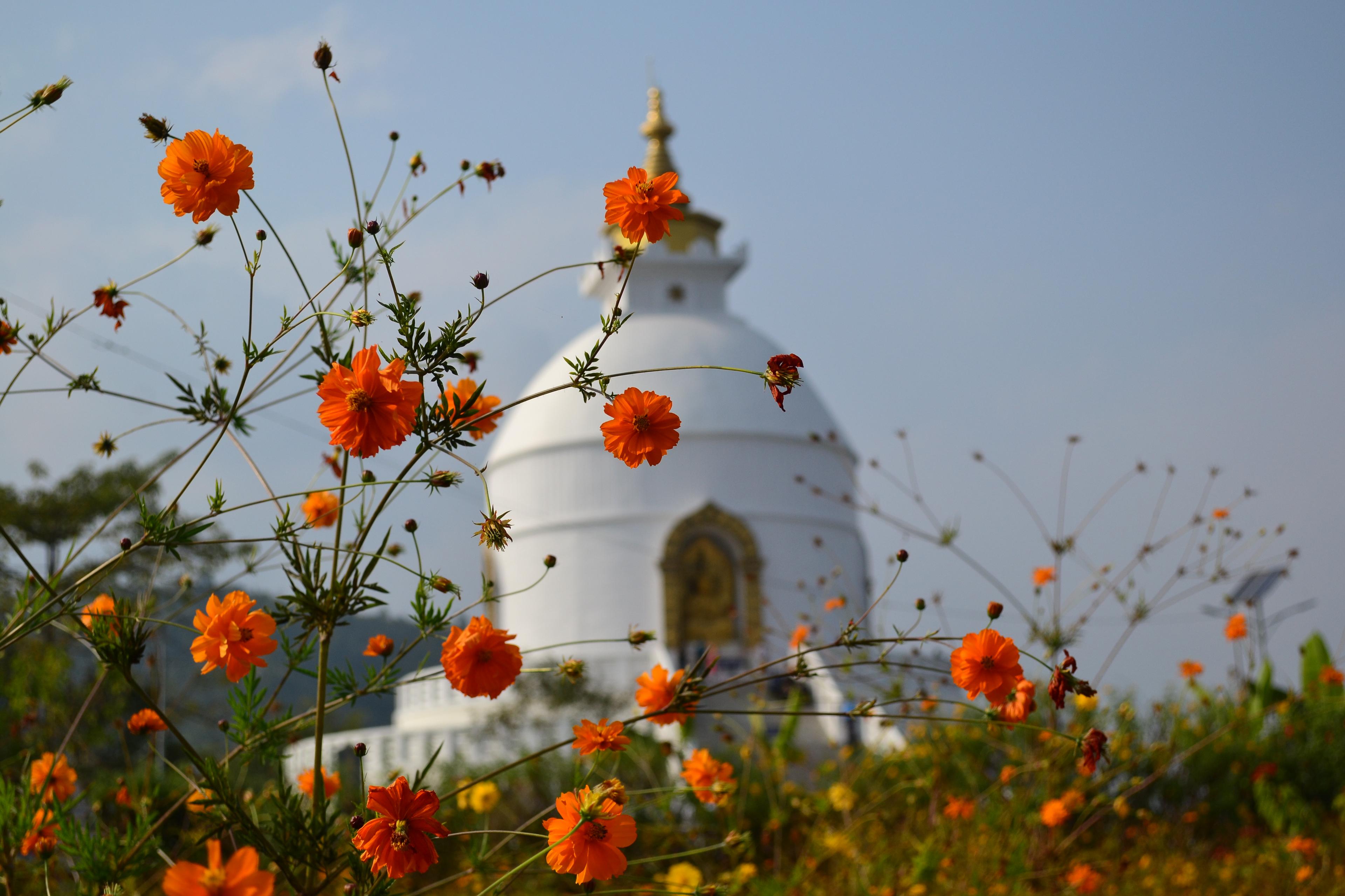 Goldenrod Stupa