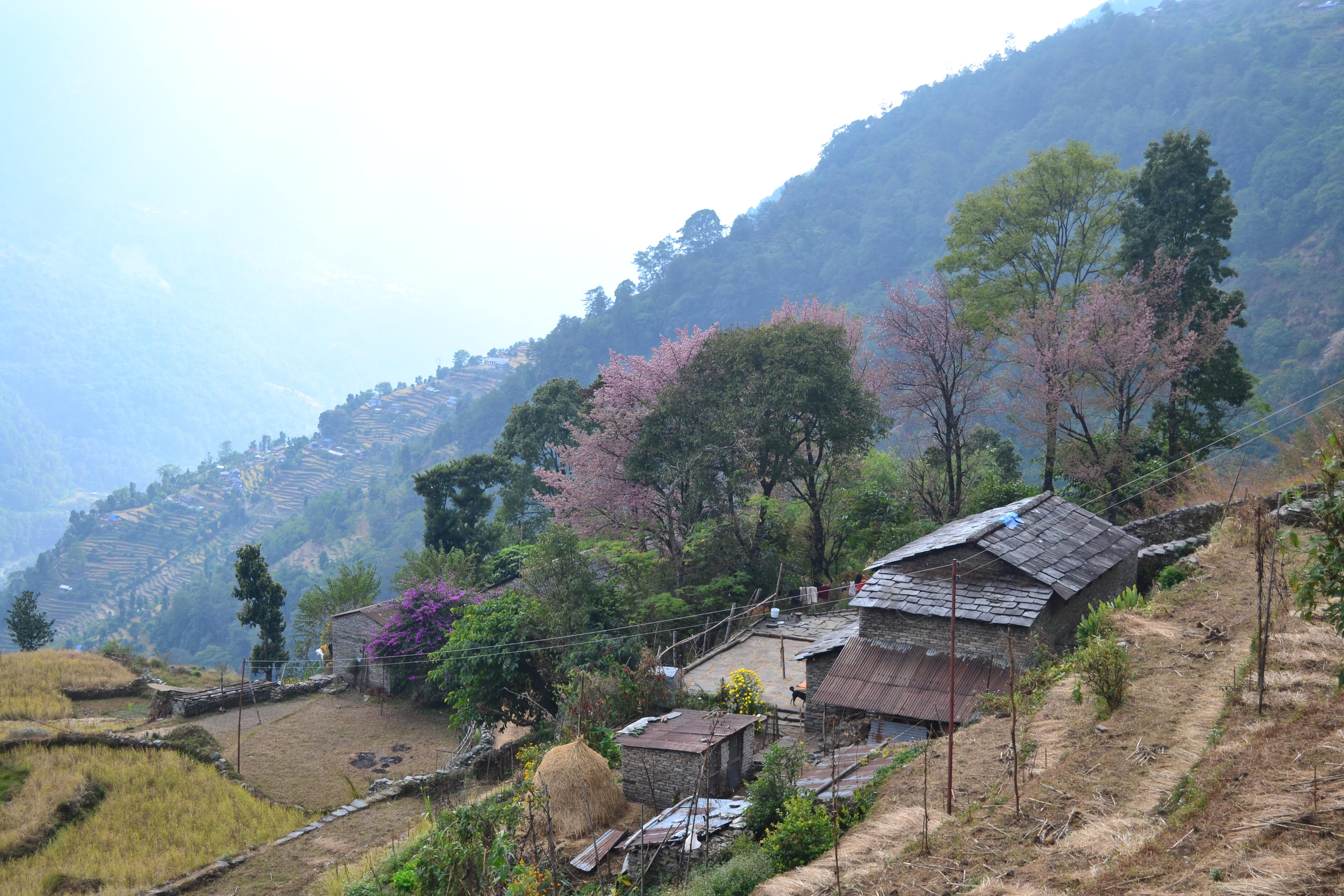 Nepal Terrace