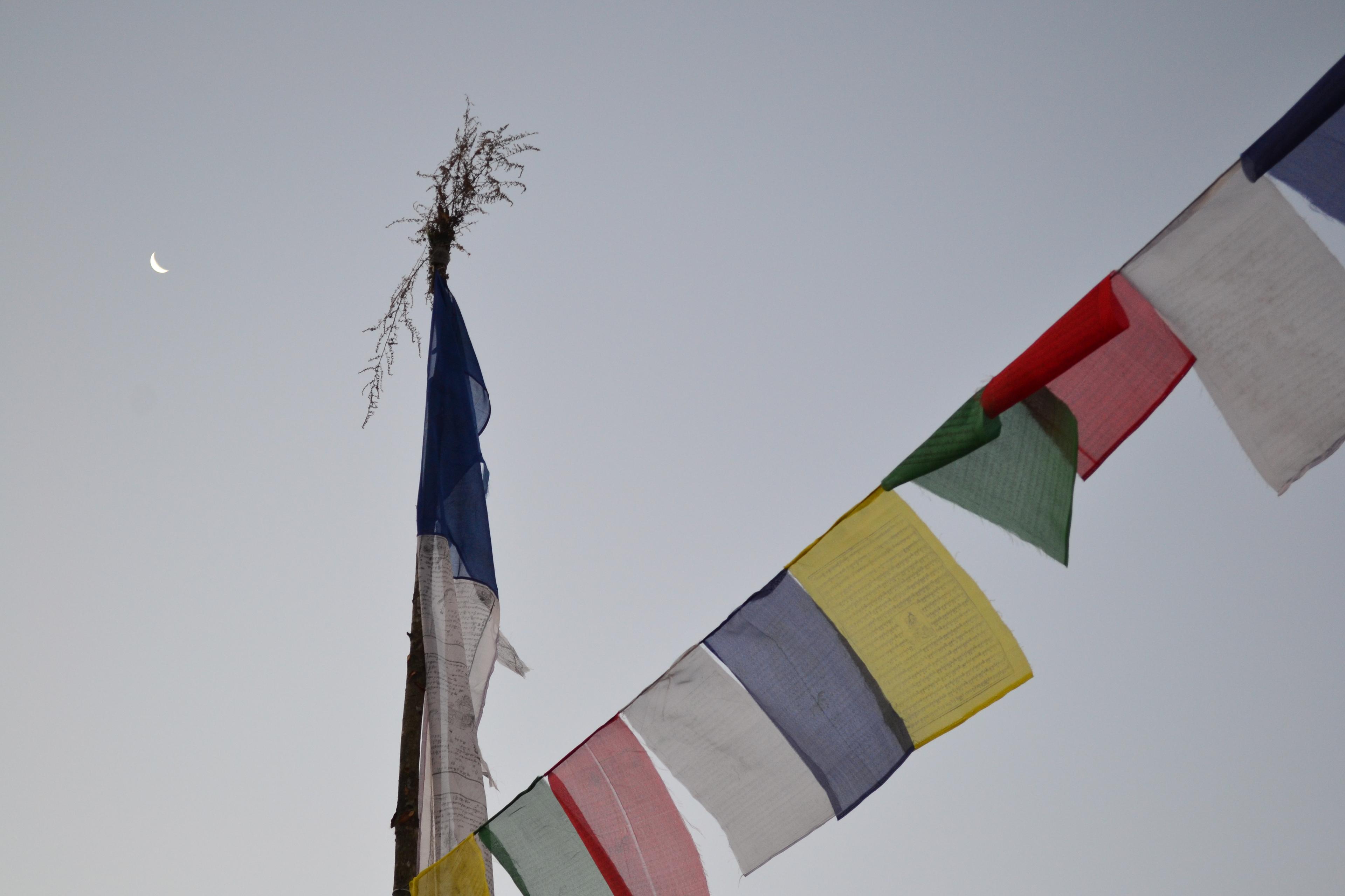 Moon Flags